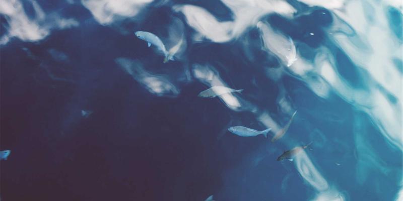 阿库耐科技2：以自动化设备驱动智能制造新纪元