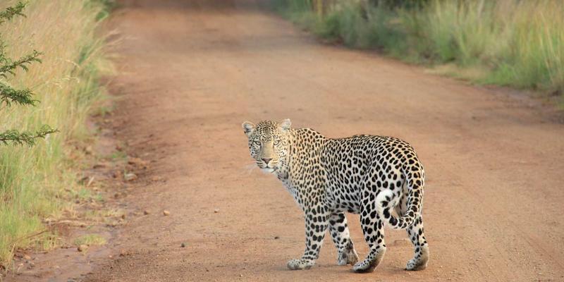 阿库耐科技37：以精密制造为基石，驱动工业自动化向智能制造的跃迁