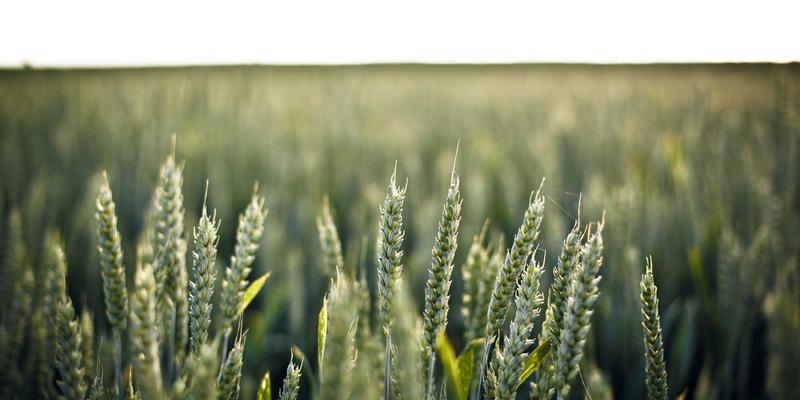 阿库耐科技52:引领工业自动化与智能制造的高精度加工新纪元