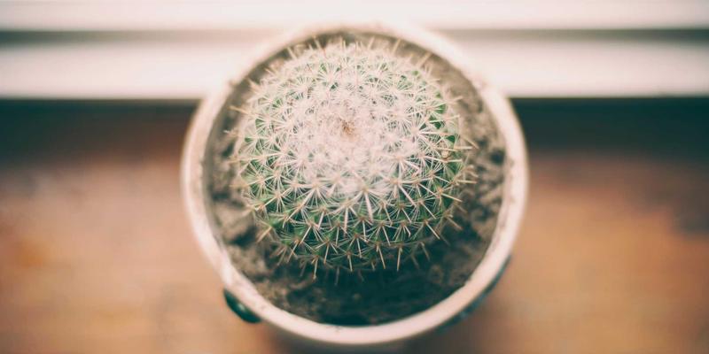 阿库耐科技9：引领生产线自动化与精密制造的未来变革