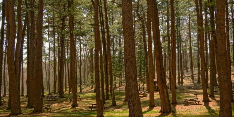 阿库耐科技MES系统深度集成：打通计划与控制层，赋能高精度加工与智能制造