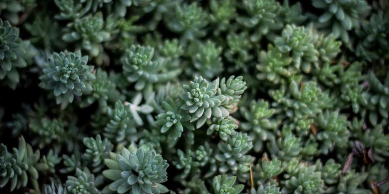 阿库耐科技协作机器人应用方案：解锁精密装配场景下人机协同的安全与高效实践