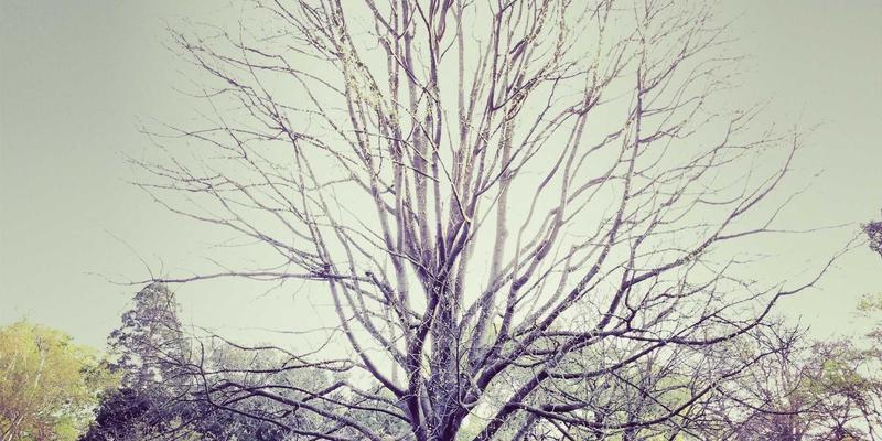 阿库耐科技攻略：解锁智能制造、生产线自动化与精密制造的协同之道