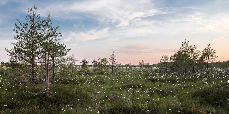 阿库耐科技数字孪生车间：以虚拟仿真驱动自动化设备与智能制造的闭环优化