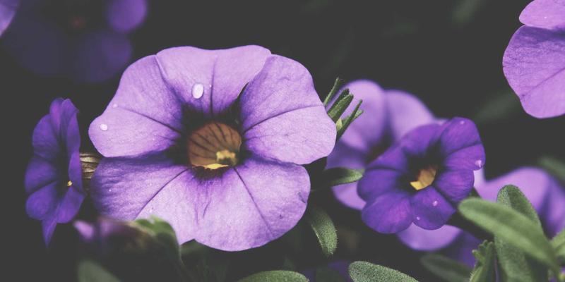 阿库耐科技能源管理系统：驱动高精度加工与智能制造，实现碳中和与节能降耗双赢