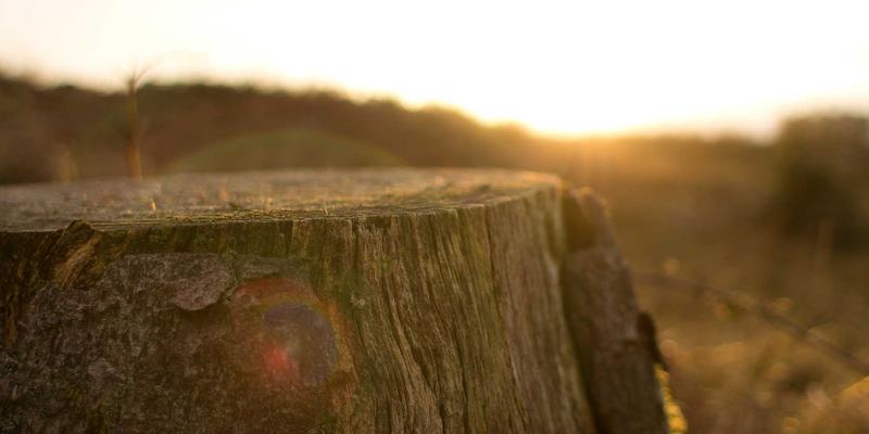 阿库耐科技自适应控制技术：如何重塑高精度数控机床的智能制造未来