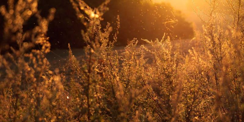 阿库耐科技边缘计算网关：赋能智能制造，实现自动化设备实时数据采集与毫秒级响应